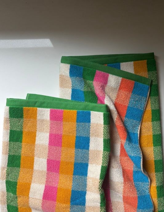 Mollusk Beach Towel