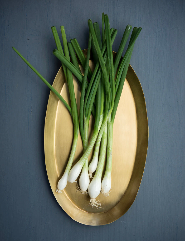 Brass Oval Tray: Medium