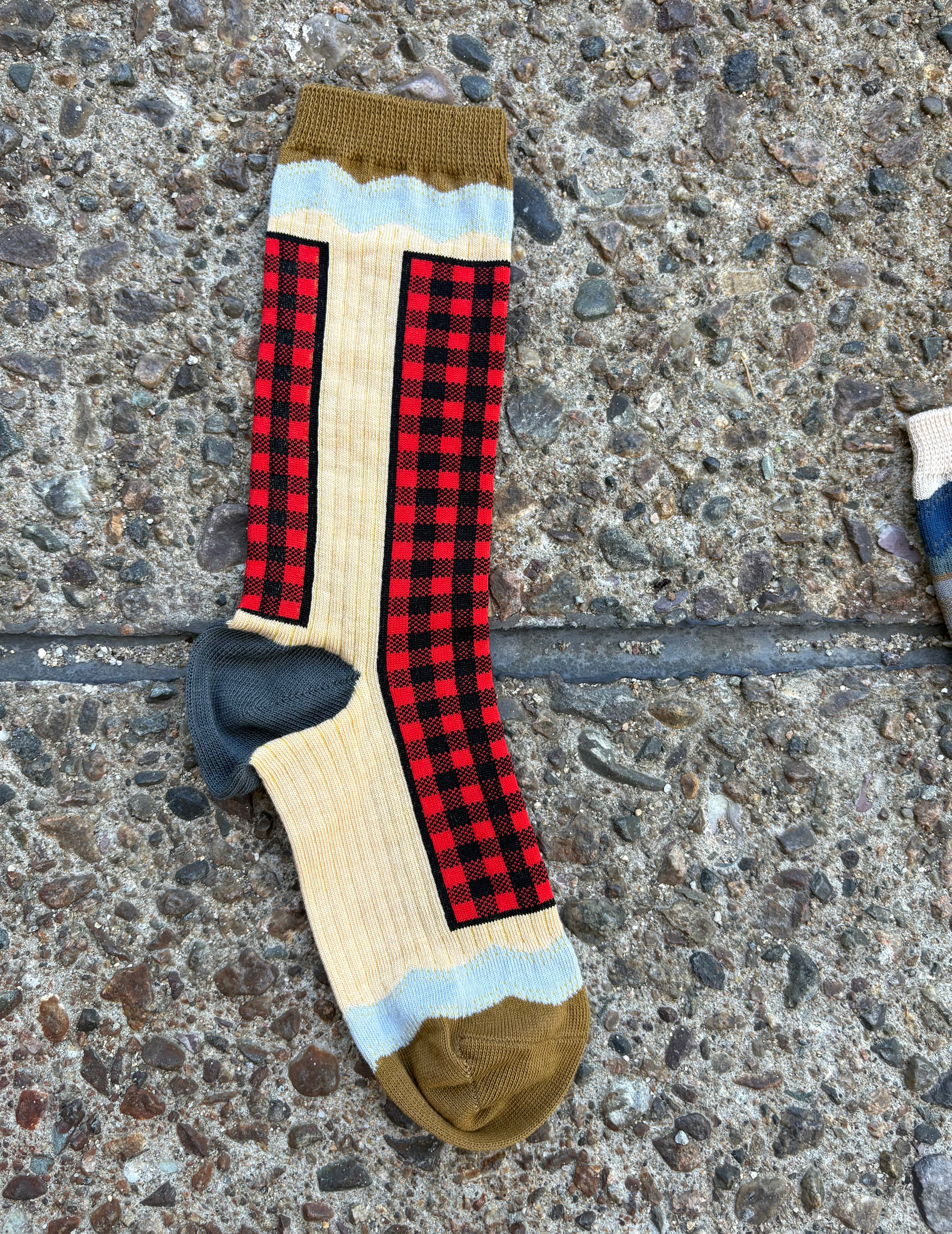 Exquisite J: Checkered Crew Socks