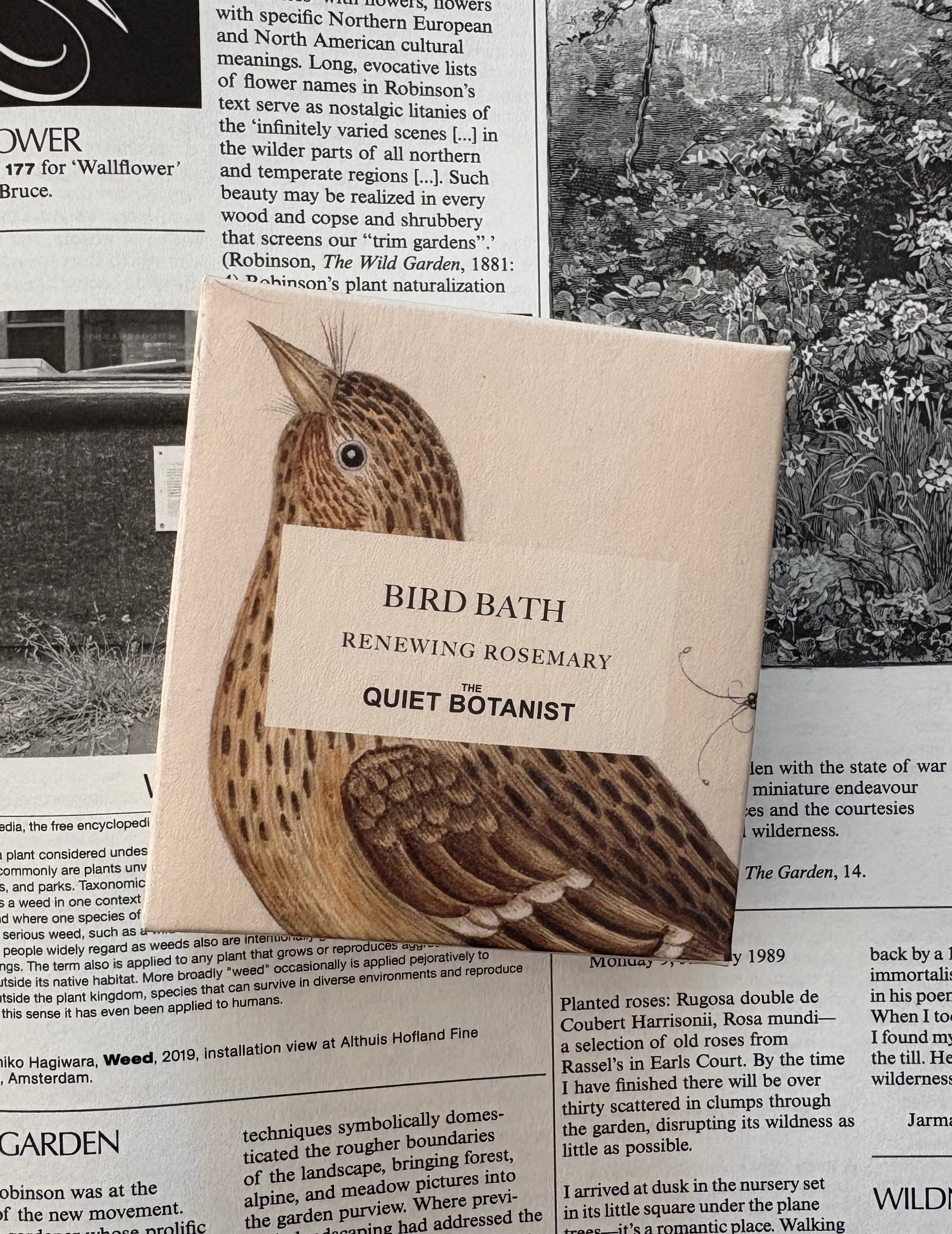 The Quiet Botanist: Bar Soap