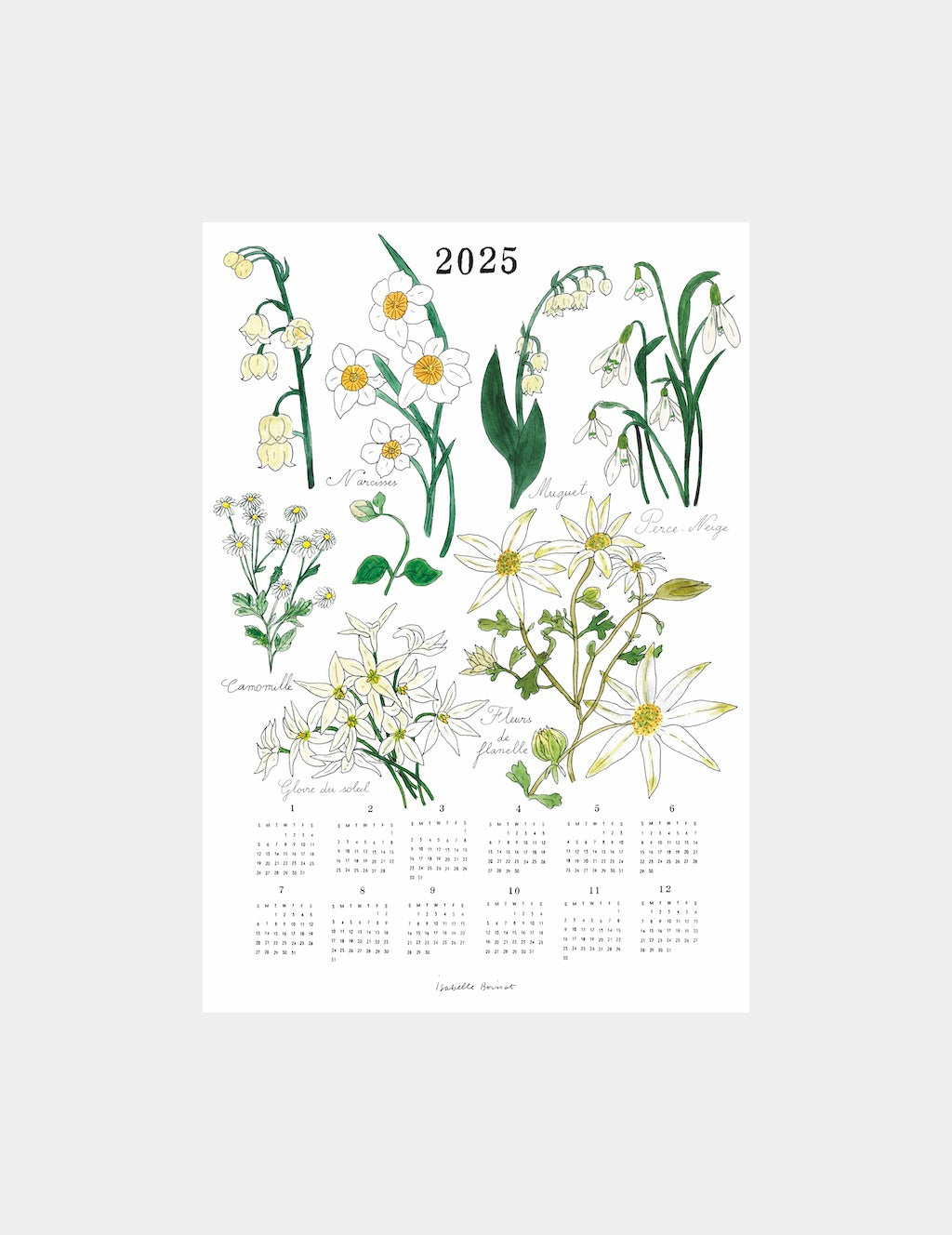 2025 Calendar Cloth: White Flowers