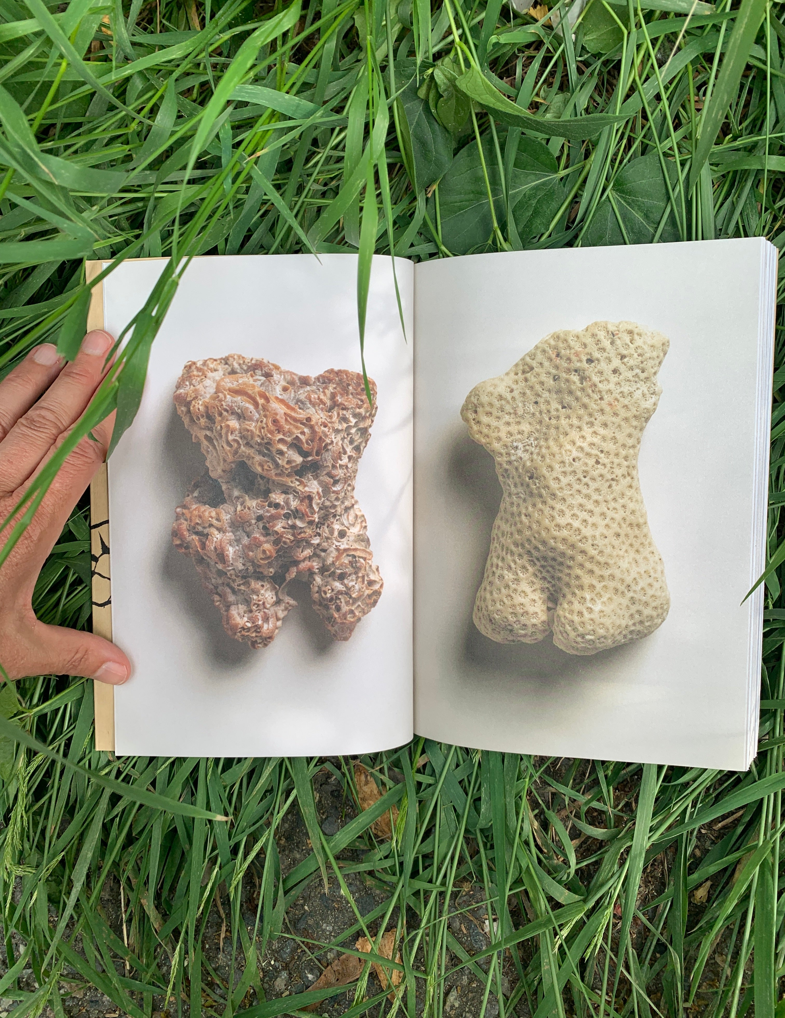 Michele Oka Doner: Intuitive Alphabet