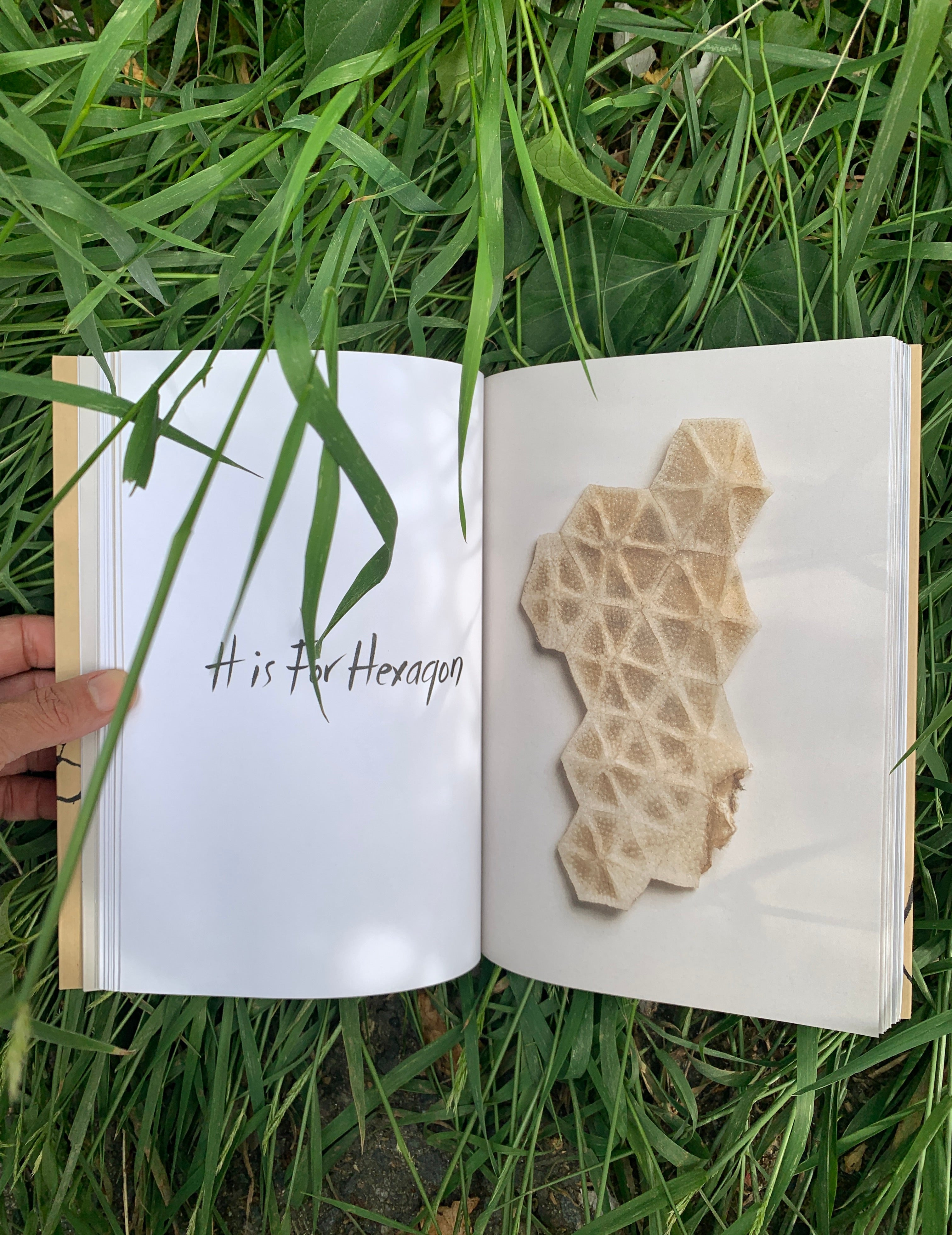 Michele Oka Doner: Intuitive Alphabet