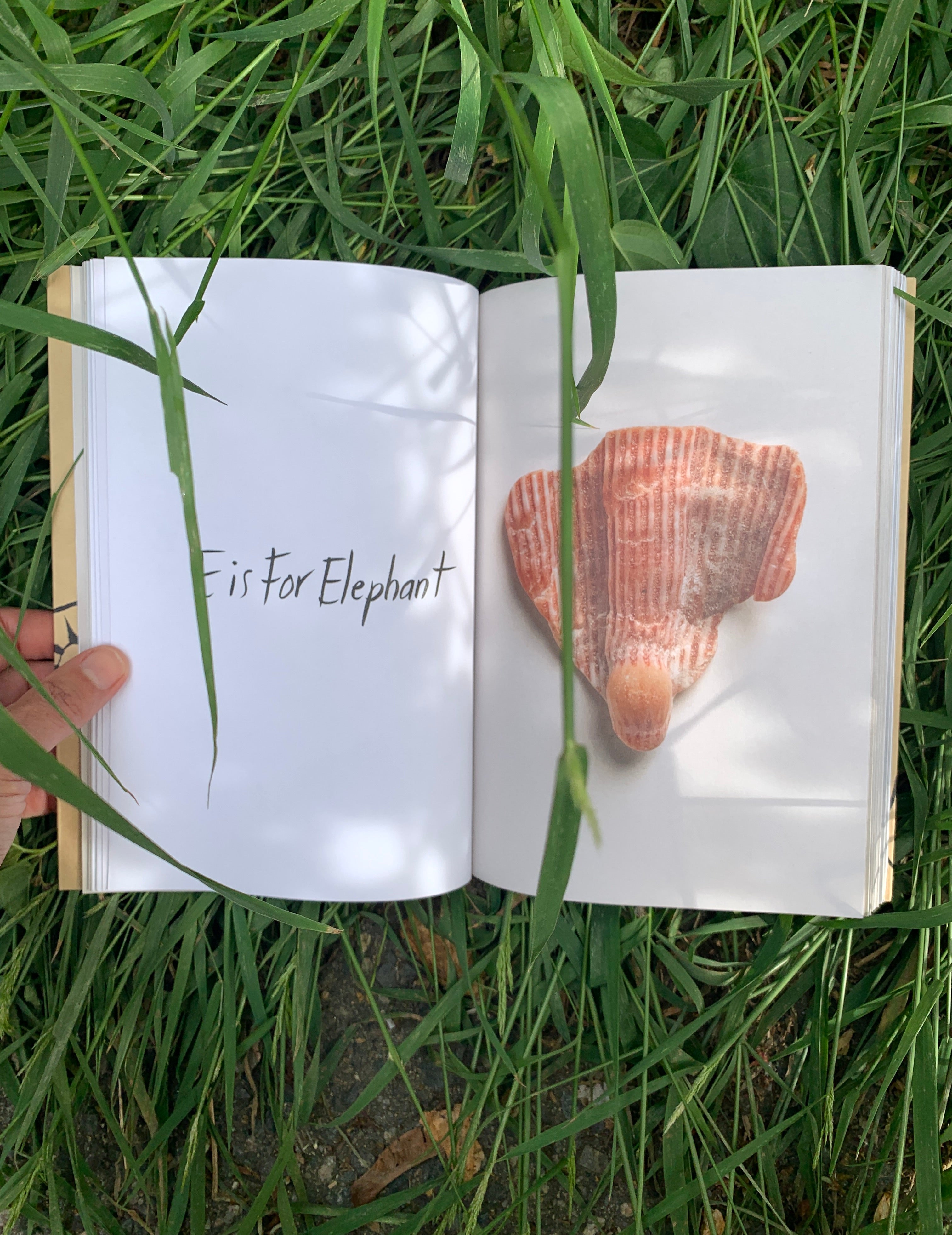 Michele Oka Doner: Intuitive Alphabet